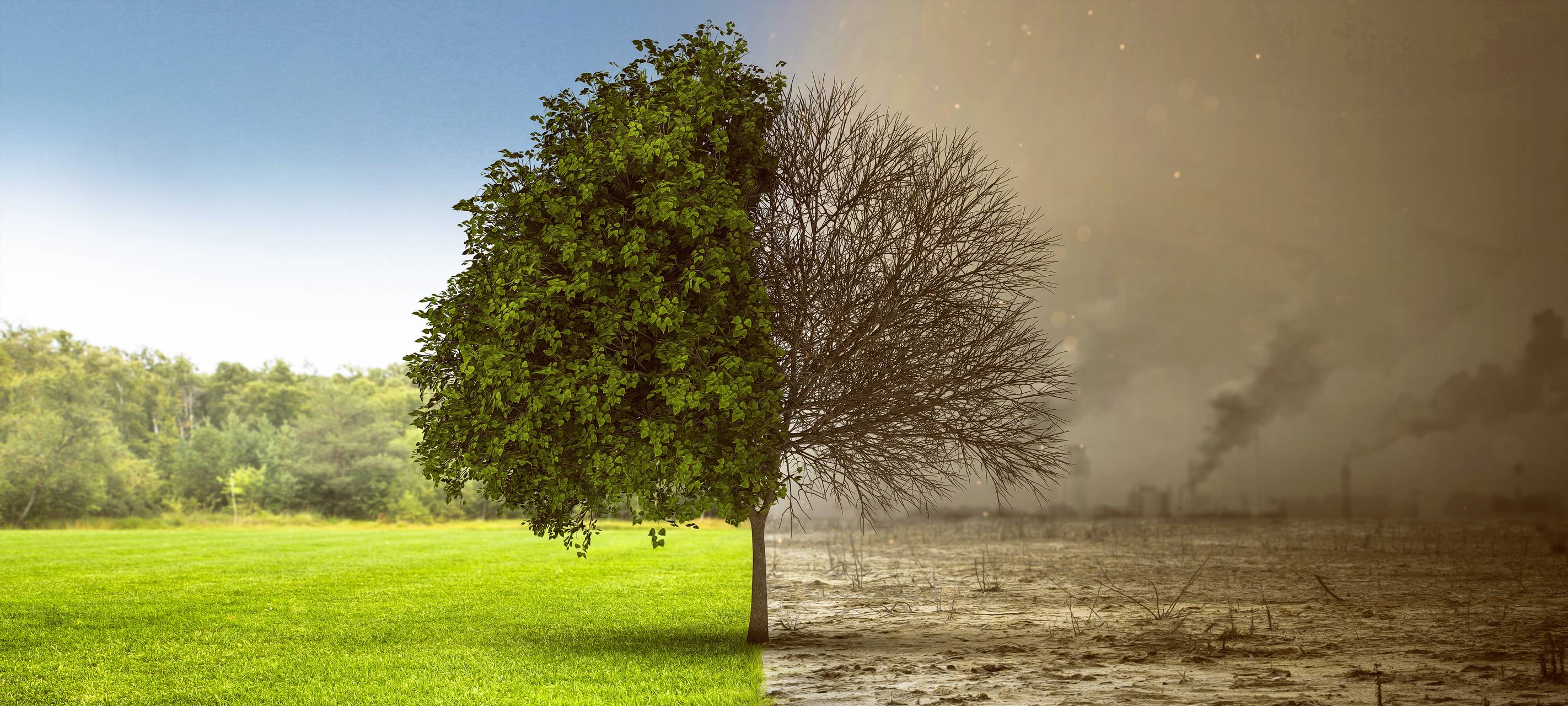 Schwelm: Stadt will in Klimaschutzprojekt einsteigen