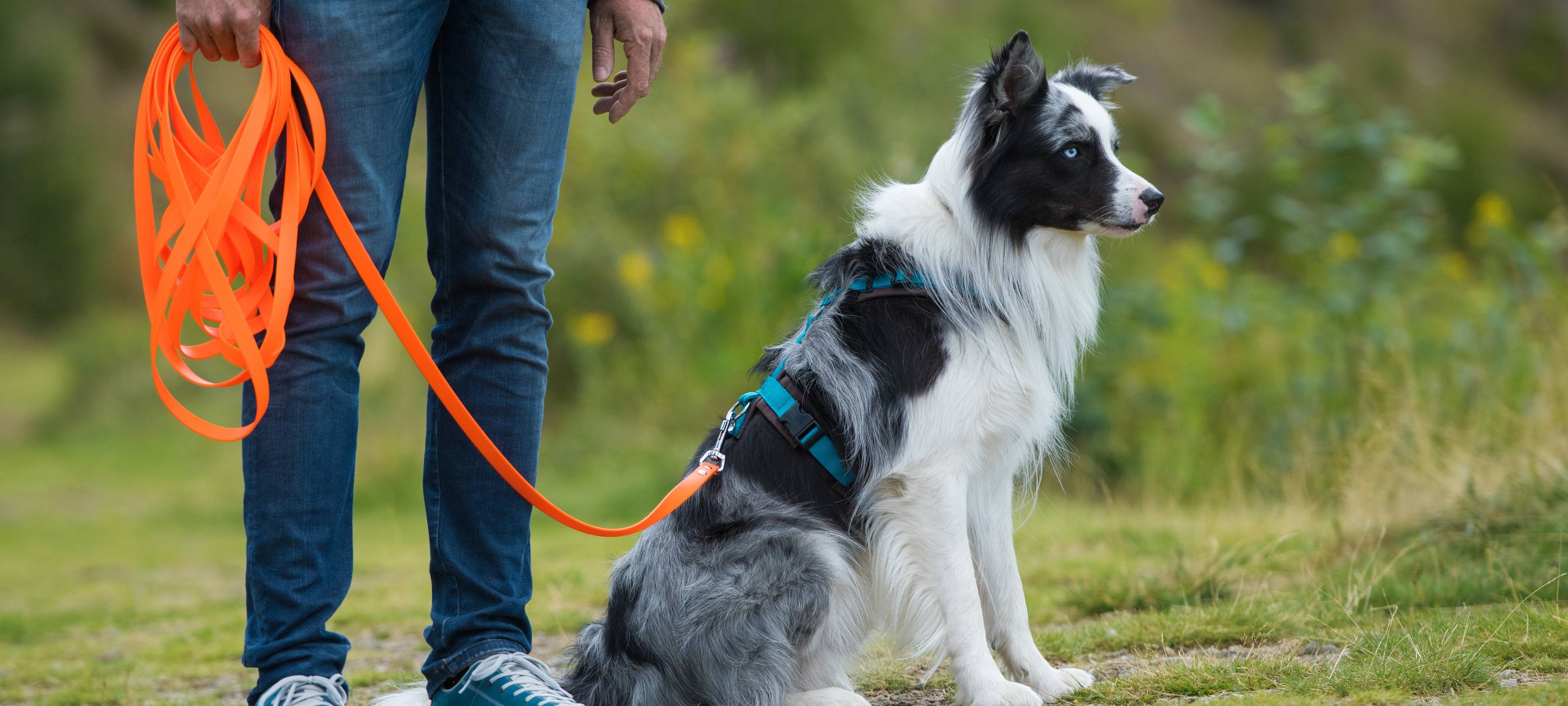 Herdecke: Stadt kontrolliert Steuerpflicht