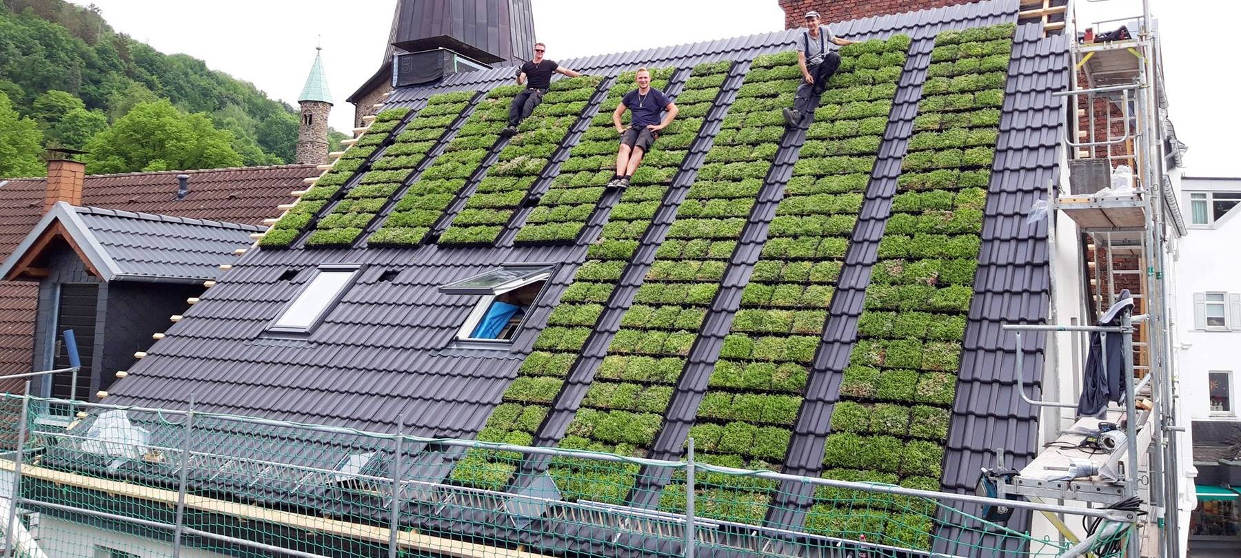 Dachbegrünung in Witten wird gefördert