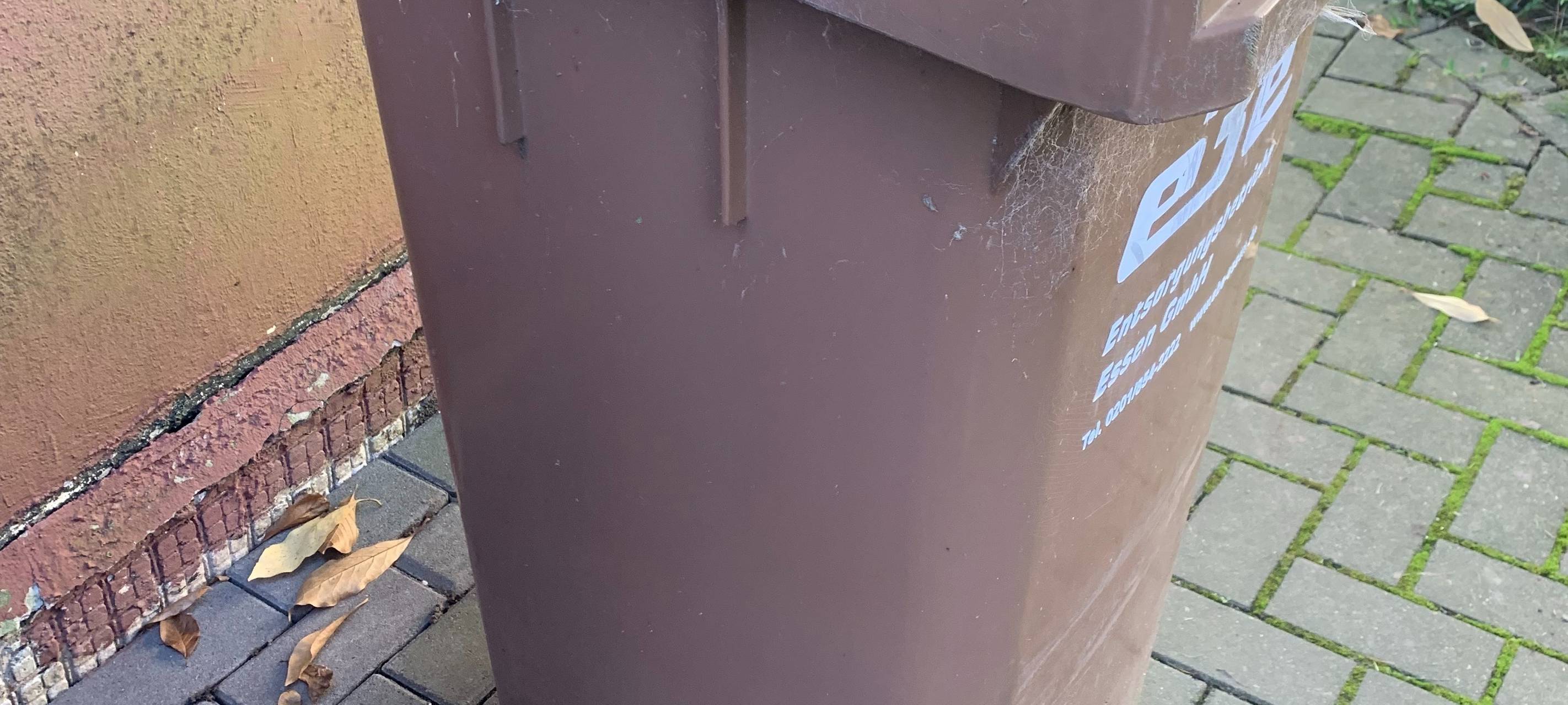 Biotonnenputz in Witten