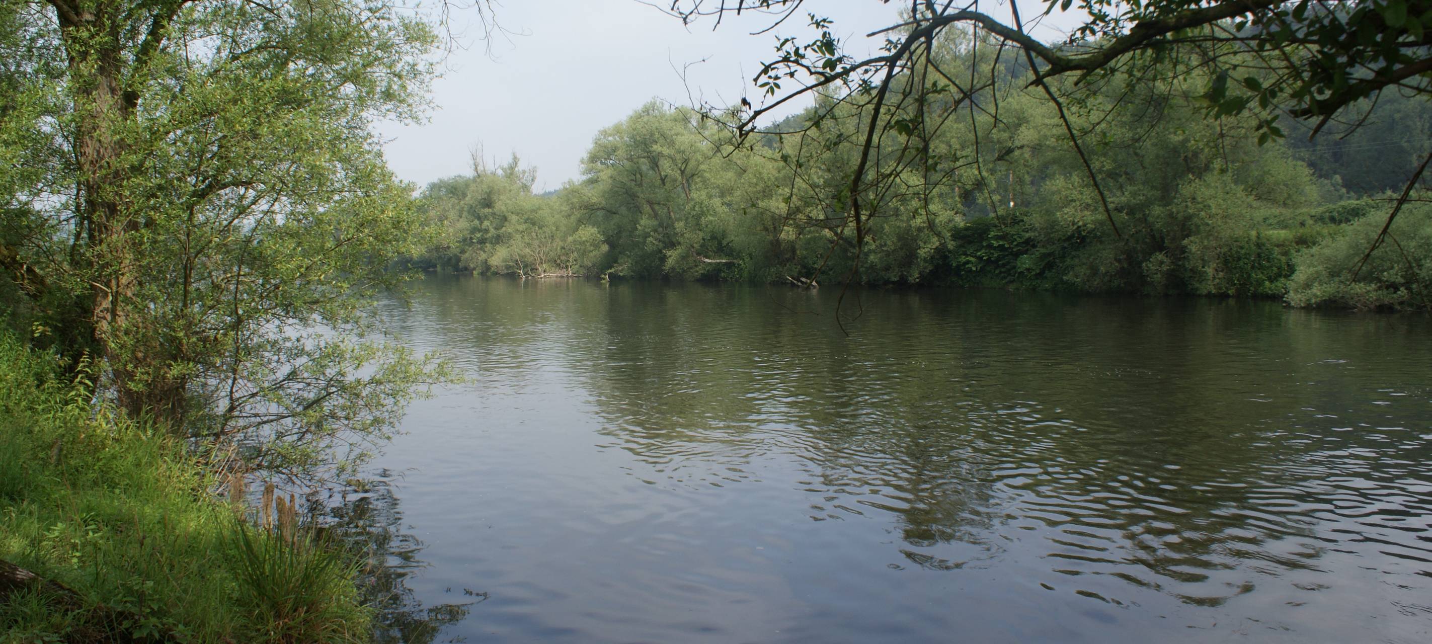 Flüsse in der Region führen Hochwasser
