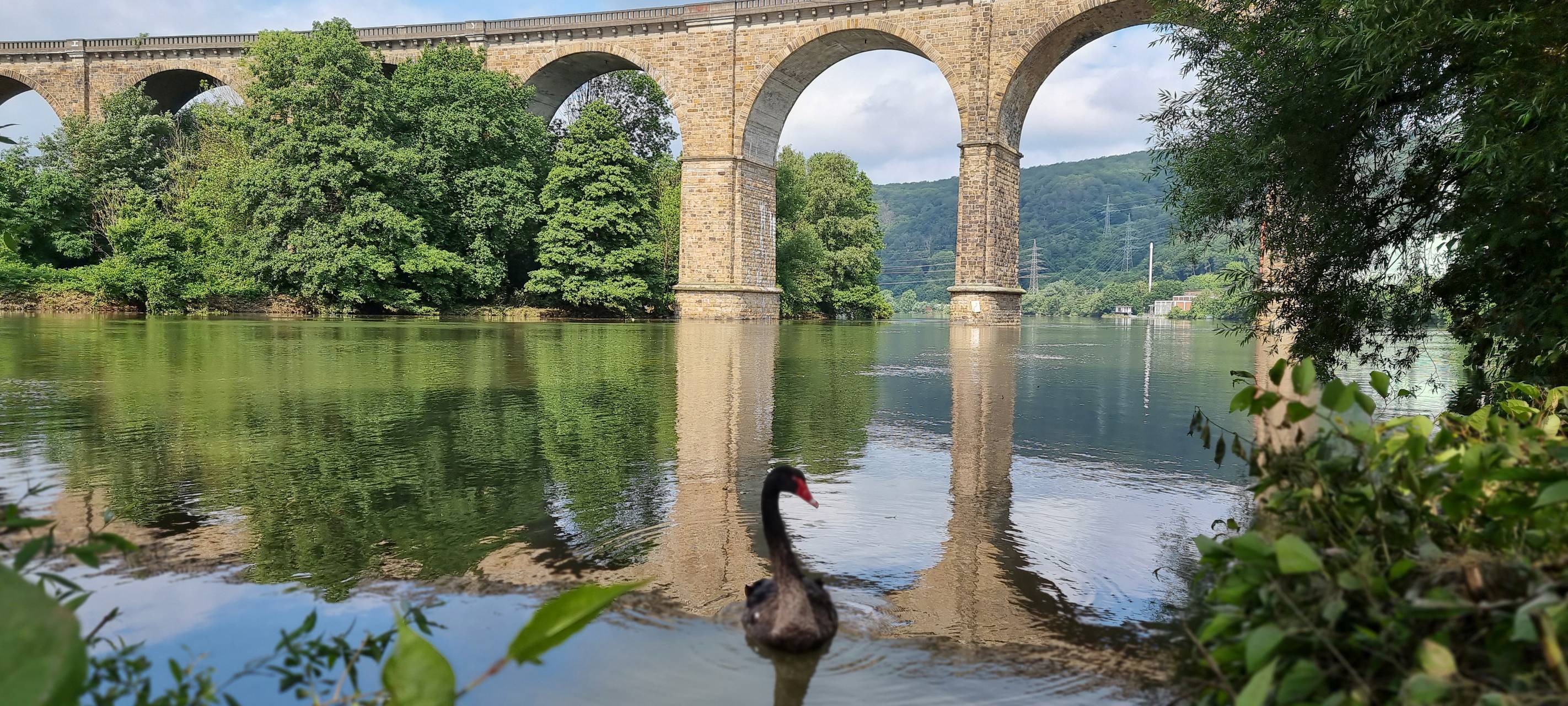 Herdecke: Die Stadt, in der die BVB-Profis und Promis wohnen