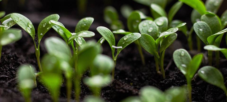 Auszeichnung für nachhaltige Projekte in Witten