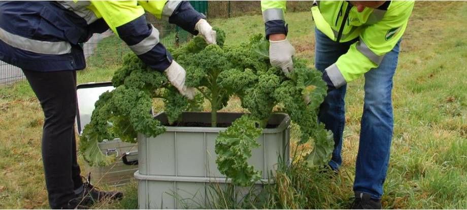 Keine PCB mehr in Oelkinghausen