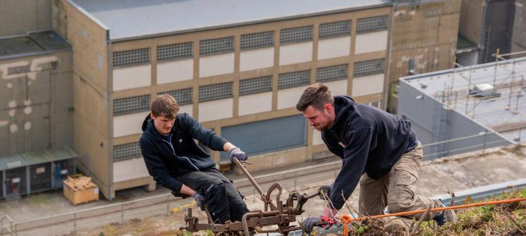Besonderer Wein - Angebaut hier bei uns im Kreis