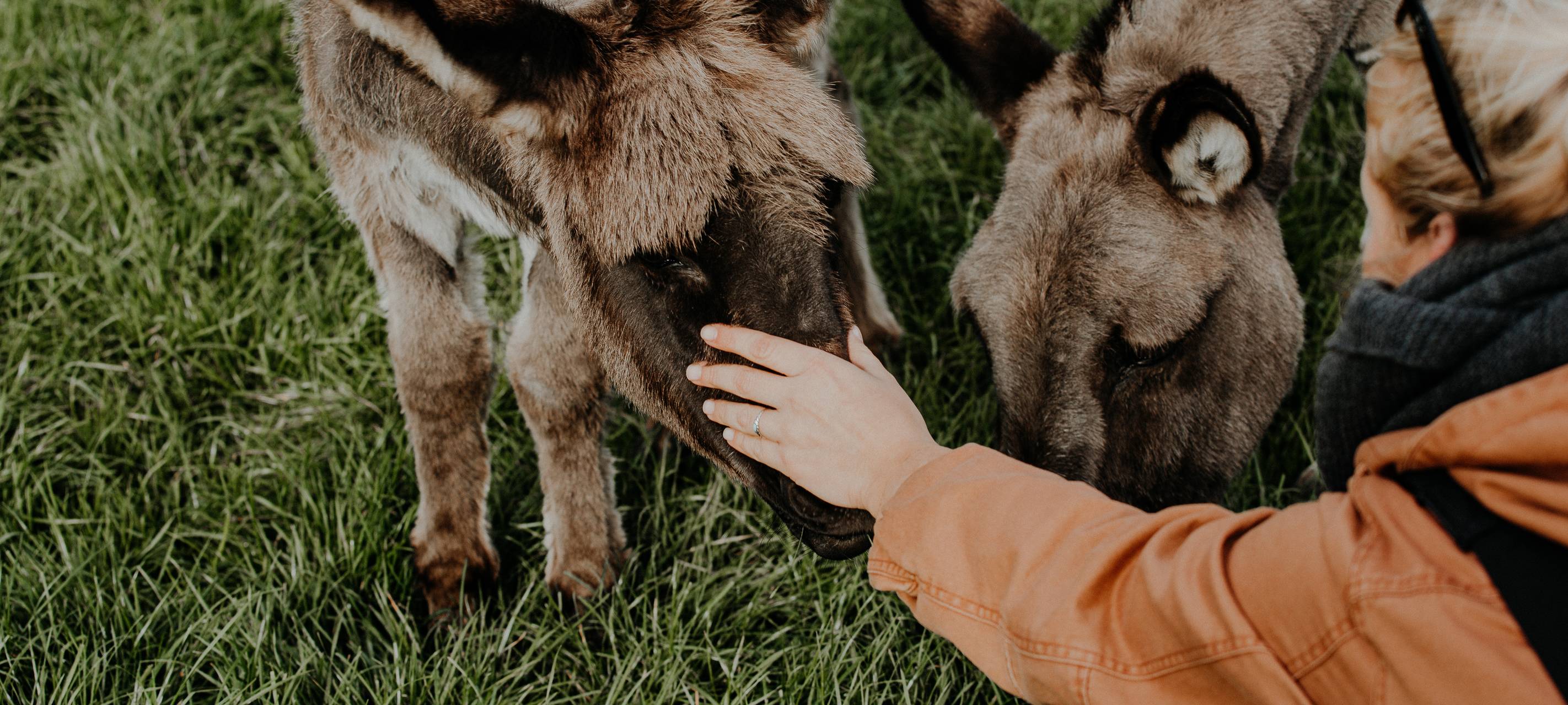 Touri-Aktivitäten Ennepe-Ruhr-Kreis
