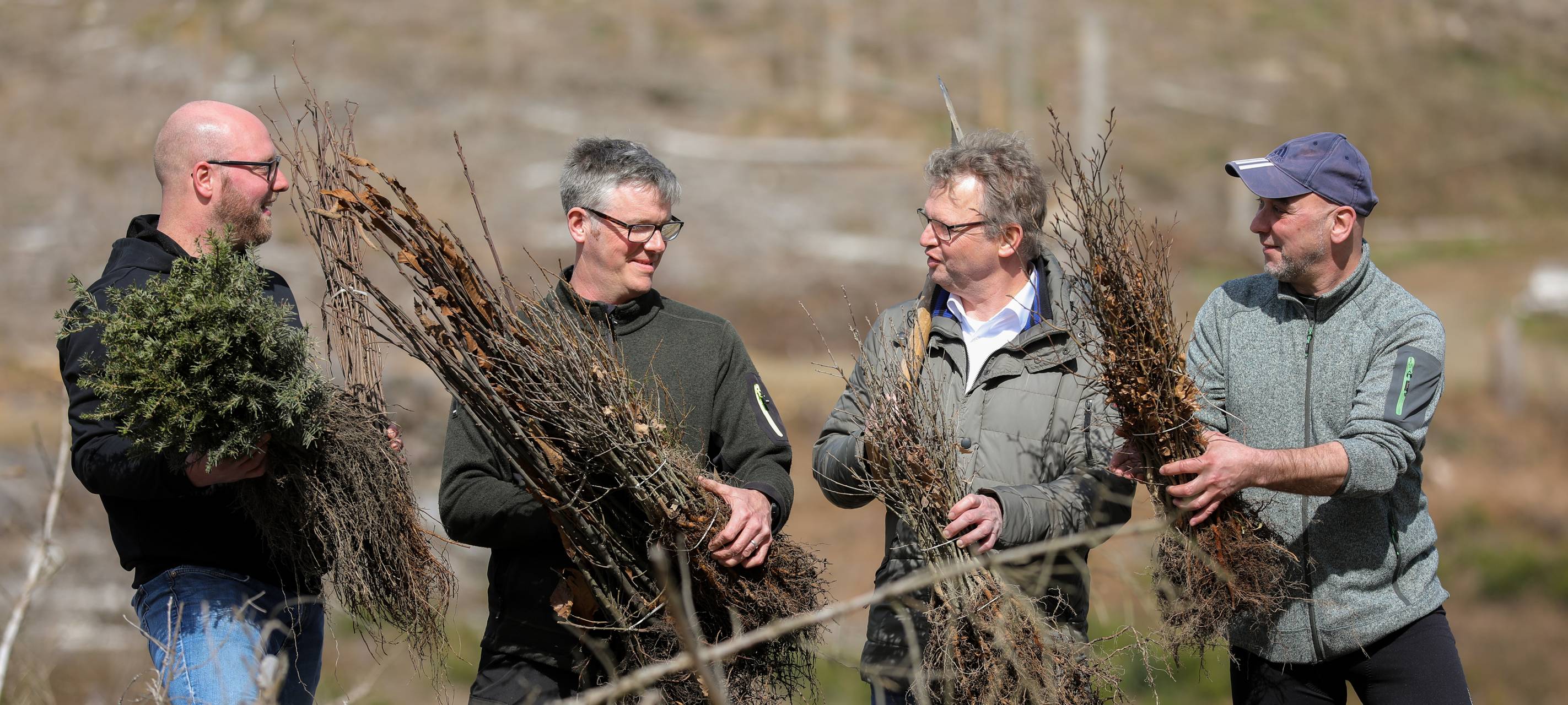 AVU Grünstrom-Kunden unterstützen Aufforstung