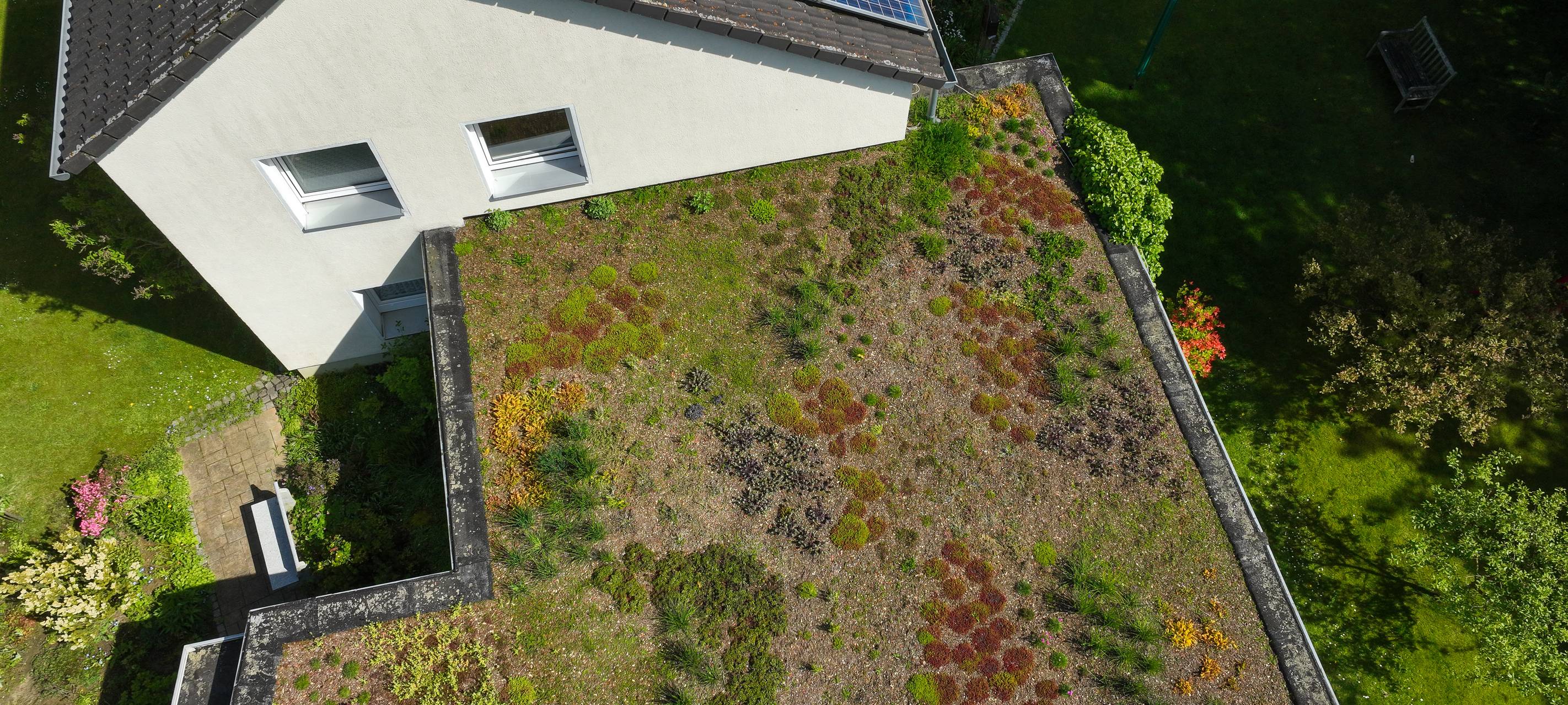 Grüne Dächer für das Stadtklima