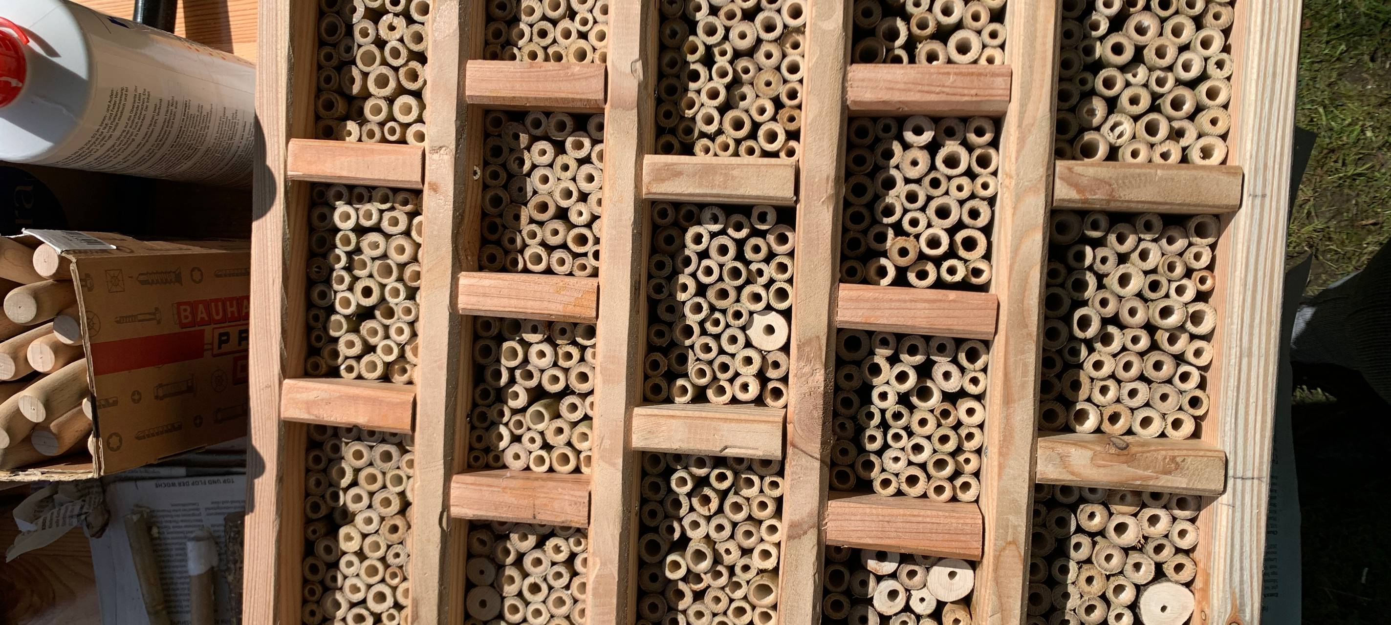 Auszeichnung für Umweltschutzprojekt