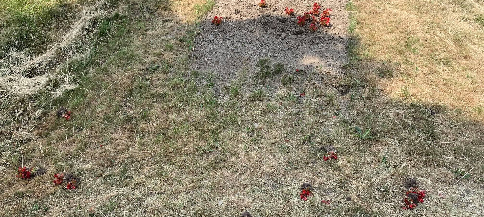 Mutwillige Zerstörung in Ennepetal