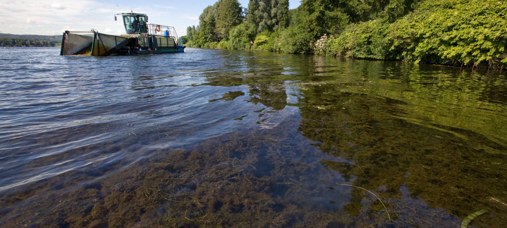 Wasserpest im Kreis ist im Griff