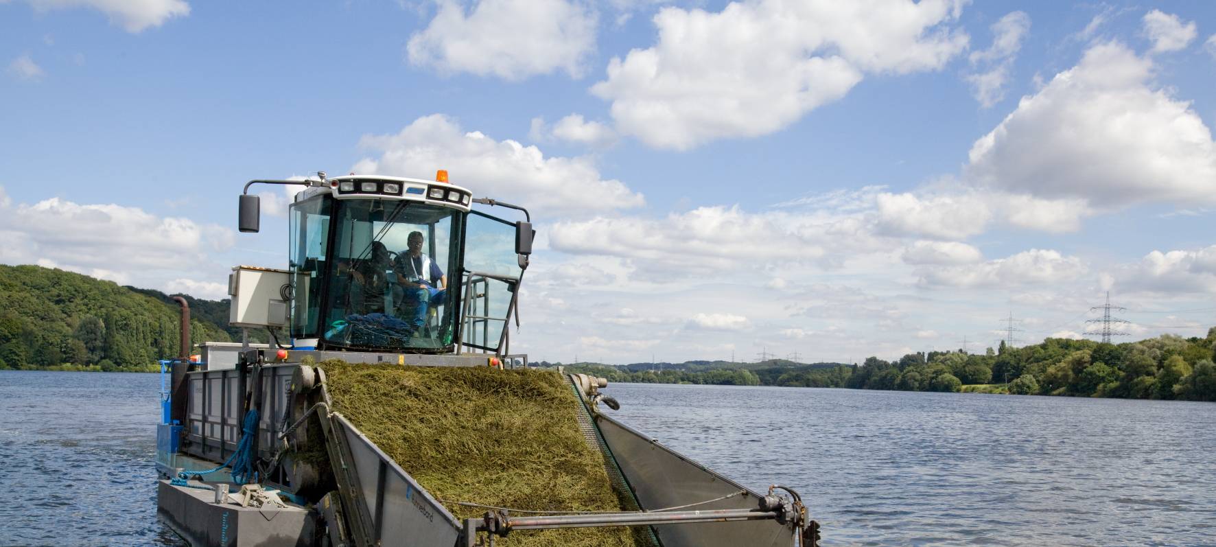 Wasserpest im Sommer stark gewachsen
