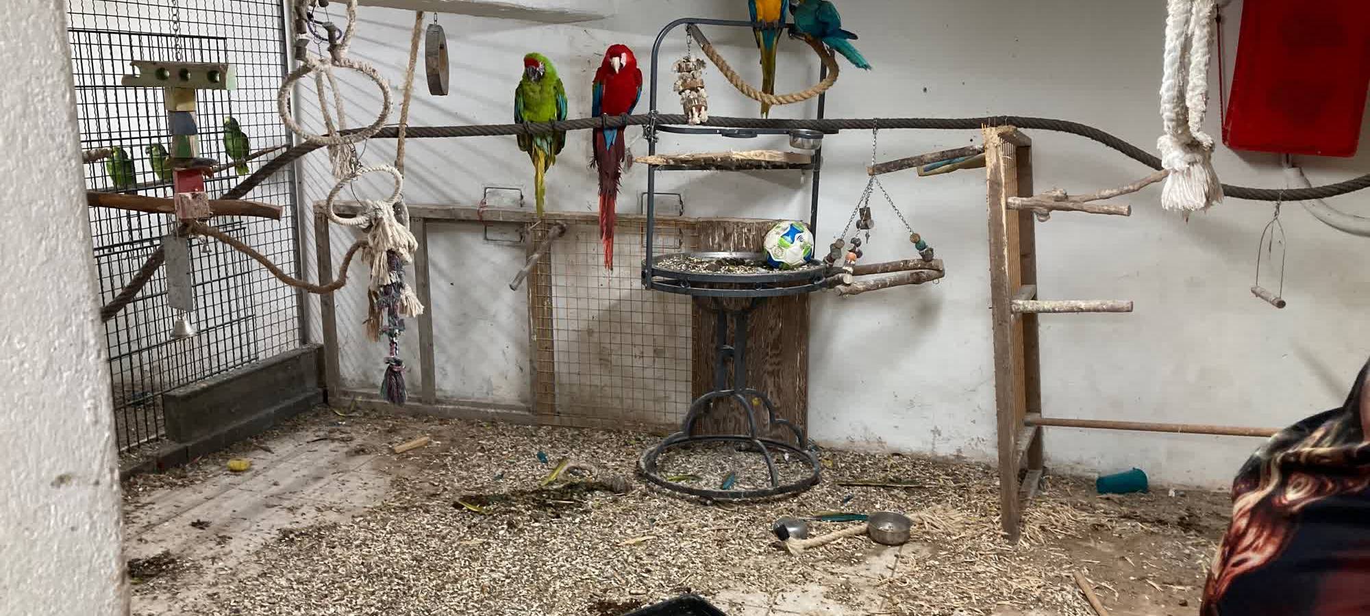 60 Tier in Einfamilienhaus Sichergestellt