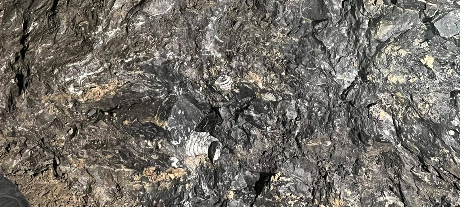 Ennepetal: Putzaktion in Russenhöhle und -bunker beendet