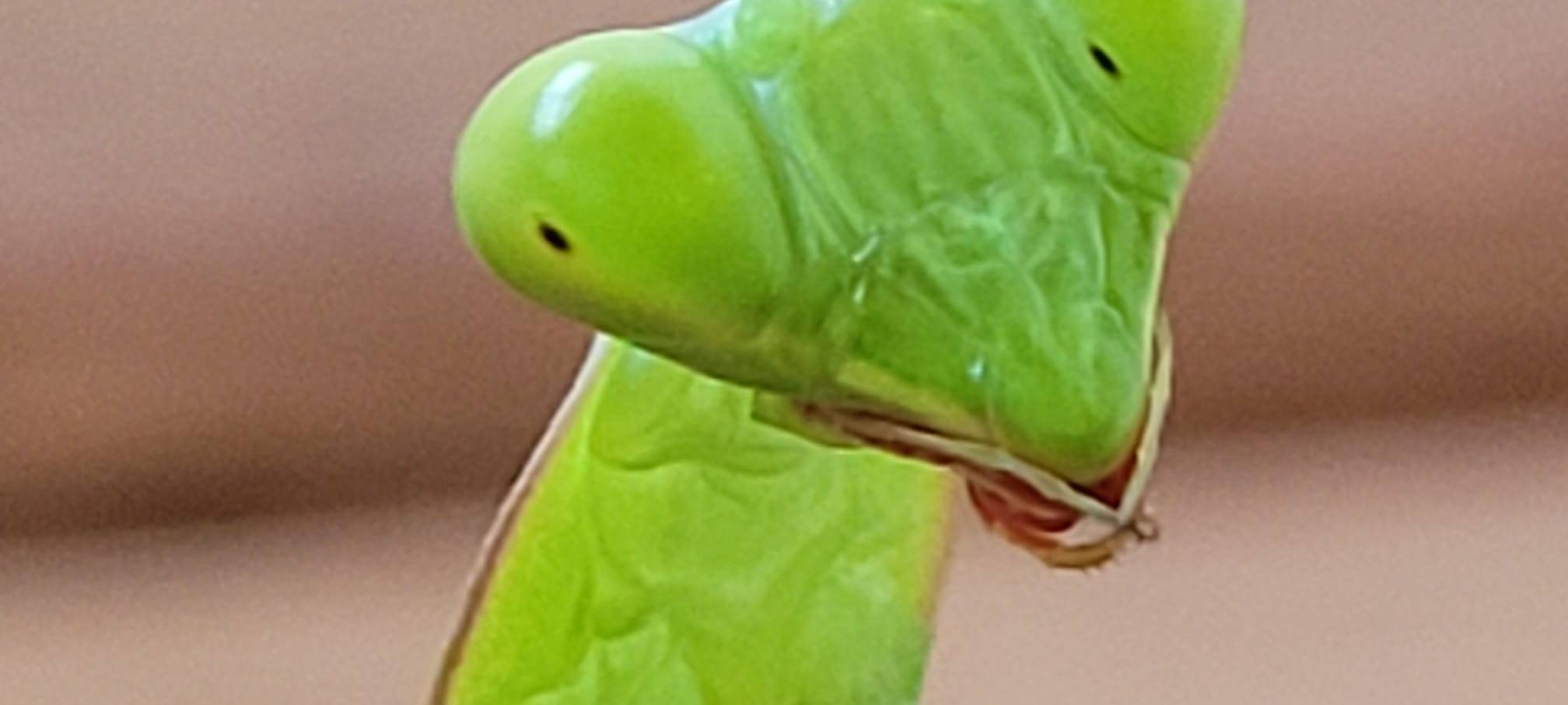 Ennepetaler Axel Maier unterstützt Projekt in Afrika