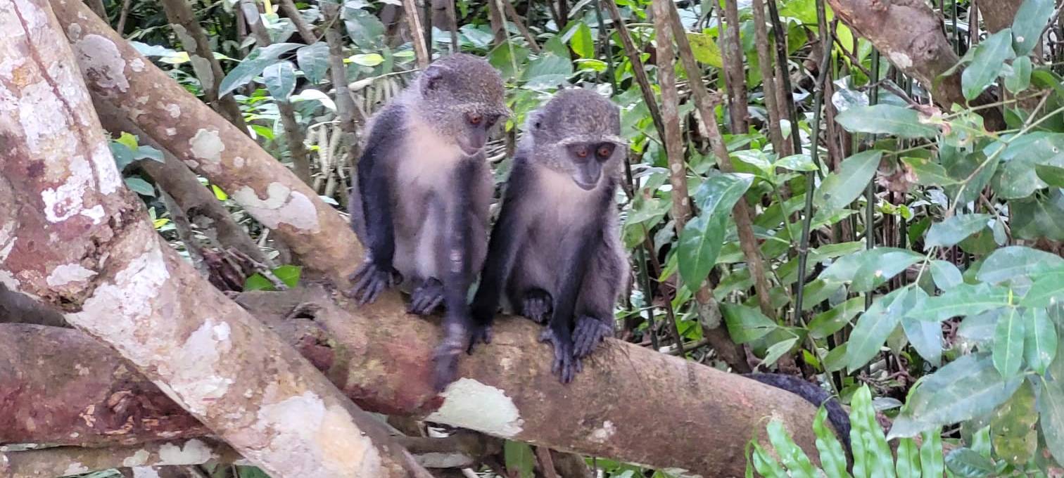 Ennepetaler Axel Maier unterstützt Projekt in Afrika