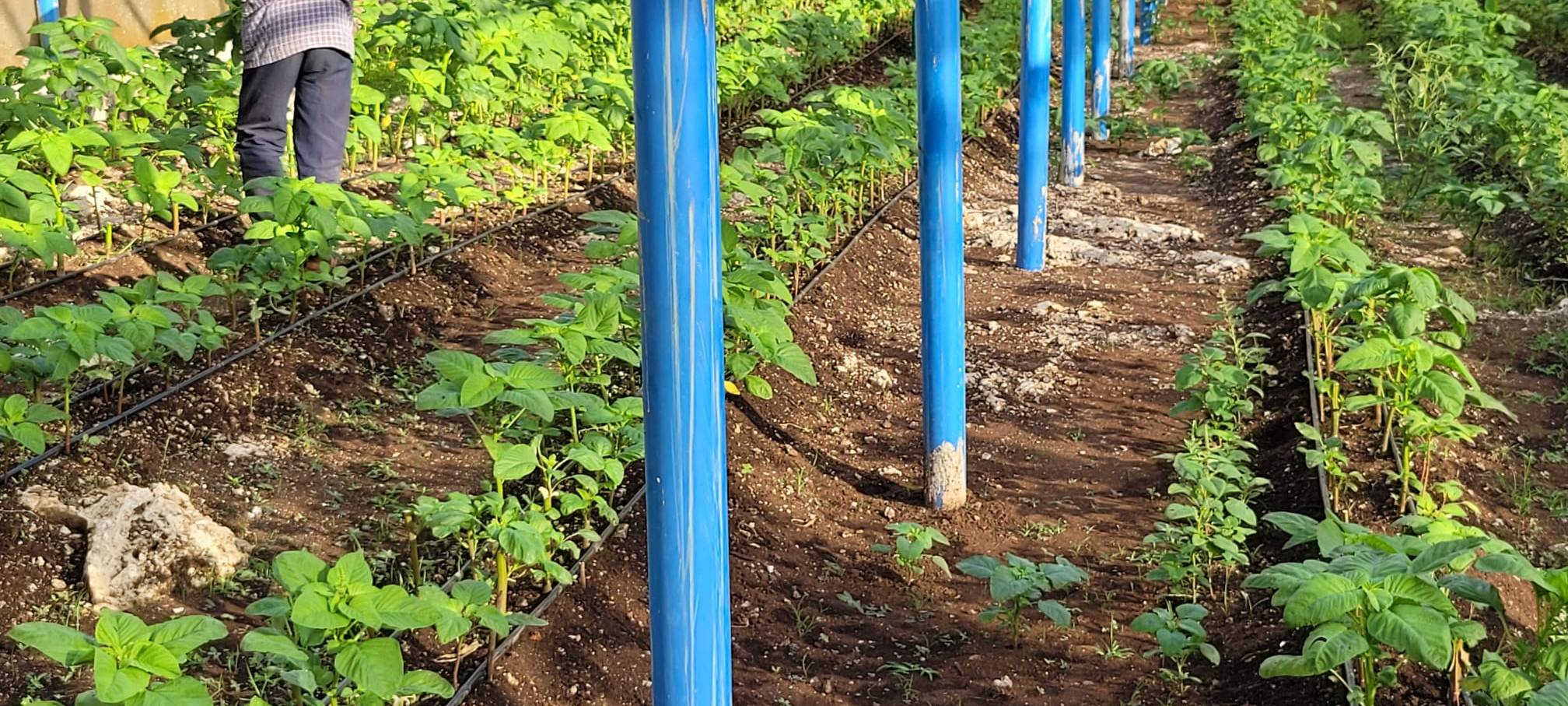 Ennepetaler Axel Maier unterstützt Projekt in Afrika