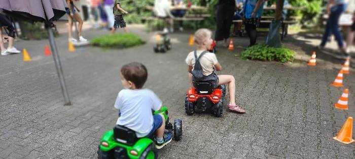 Pflegefamilien gesucht