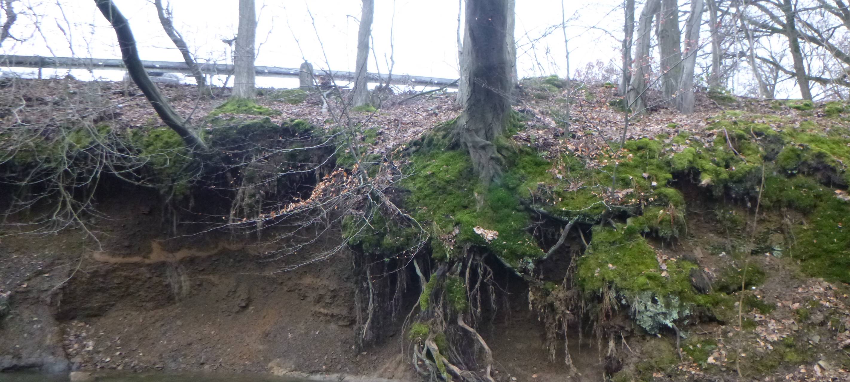 Hattingen: Stadt sperrt Parkplatz im Felderbachtal