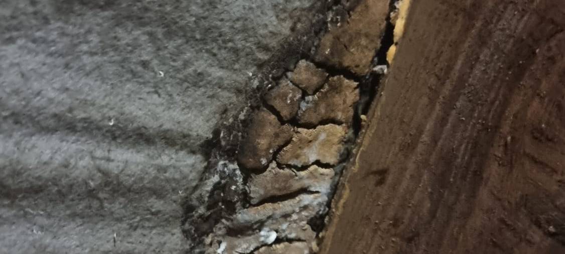 Wittener Kanuverein braucht eure Hilfe