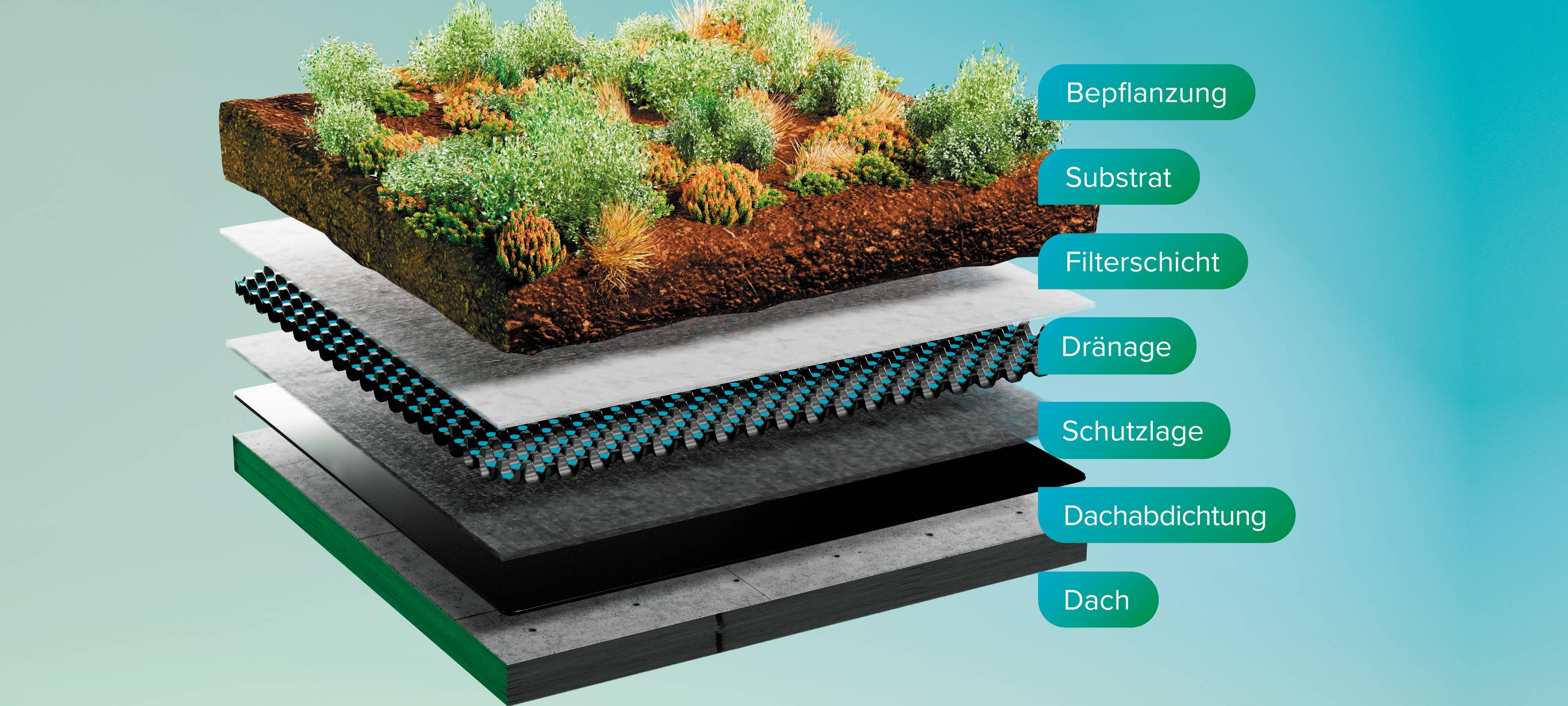 10.000 Grüne Dächer