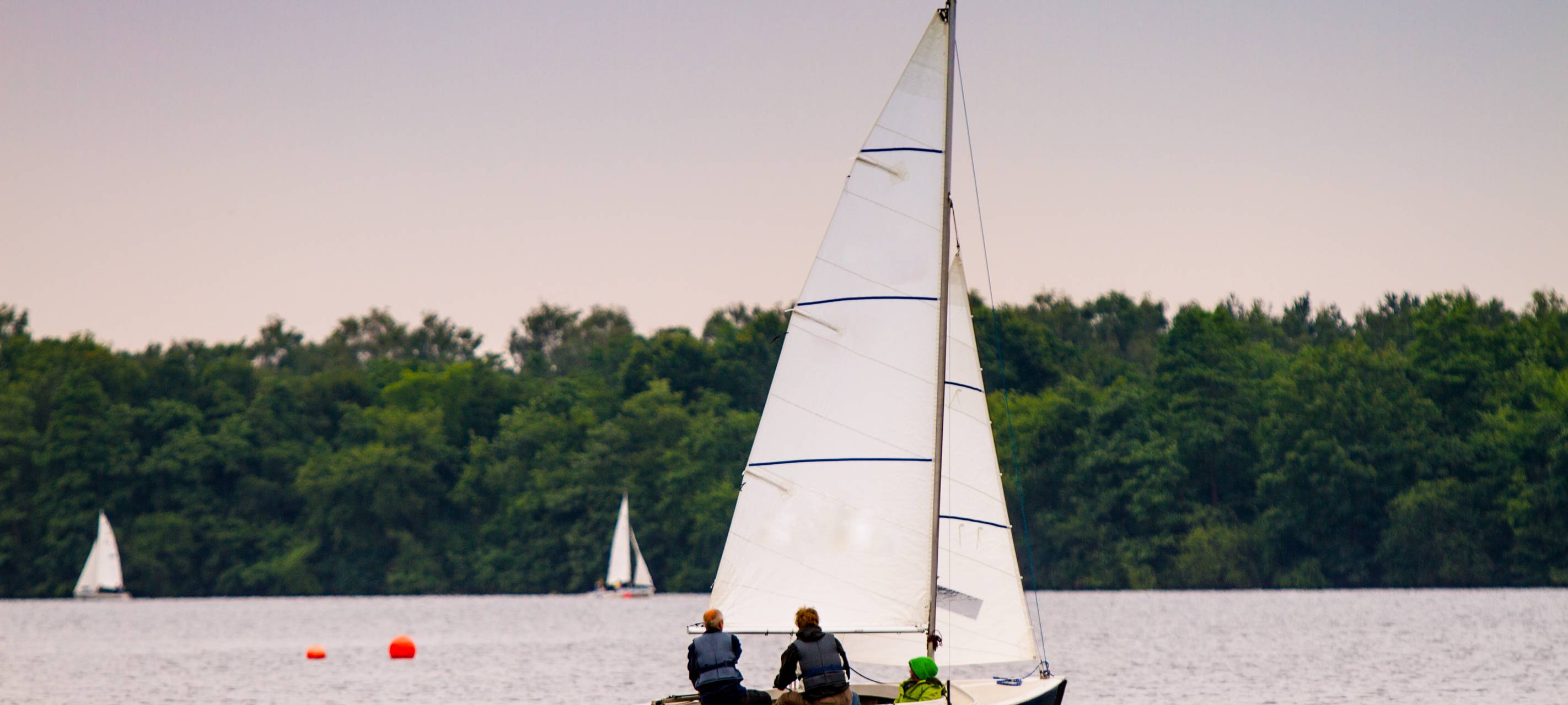 Ruhrverband: Brütende Wasservögel schützen!