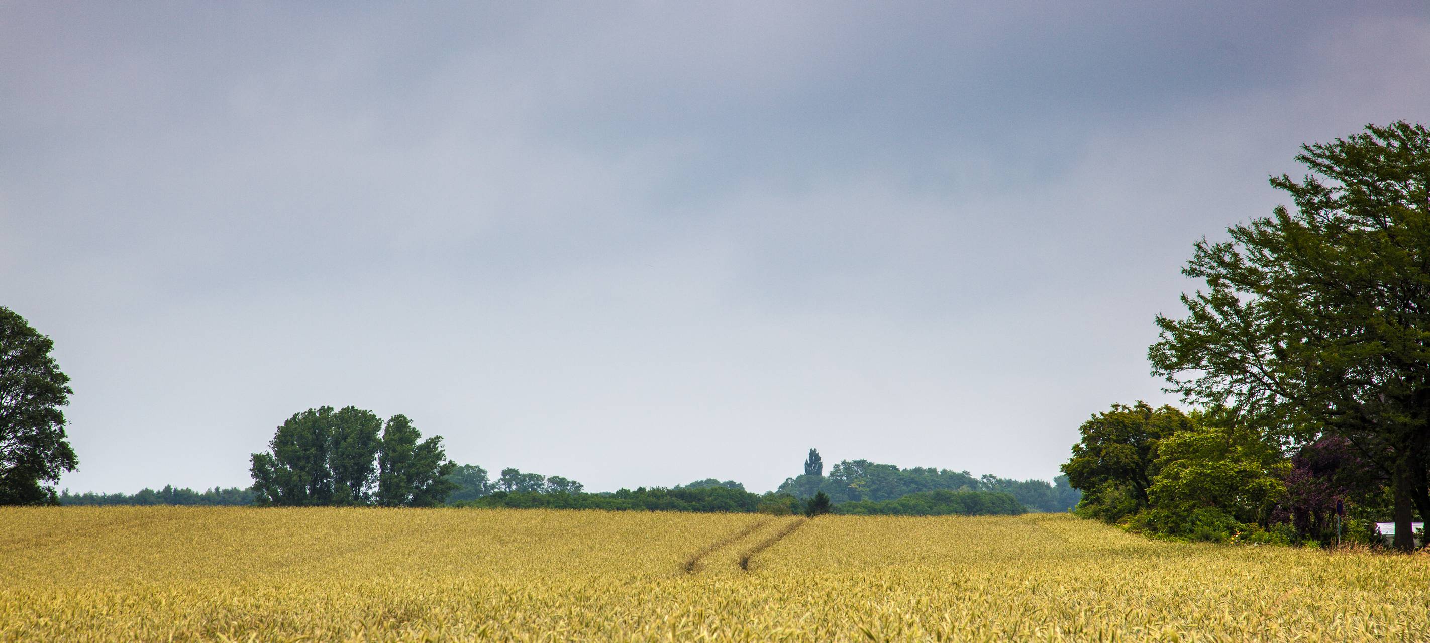 Start des Flurbereinigungsverfahrens im Sommer