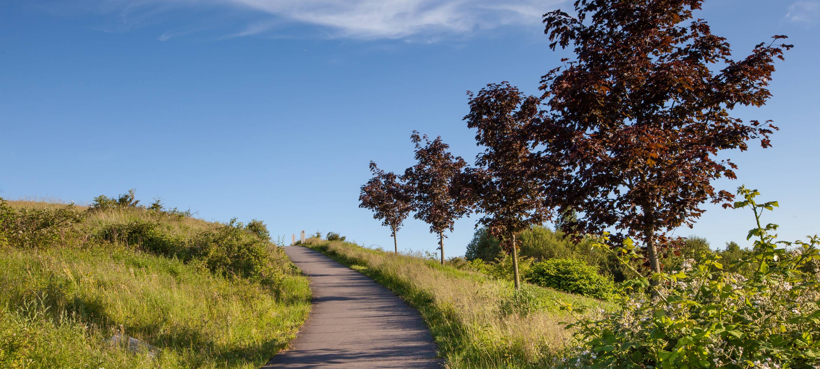 Kreis wünscht sich mehr Tourismus
