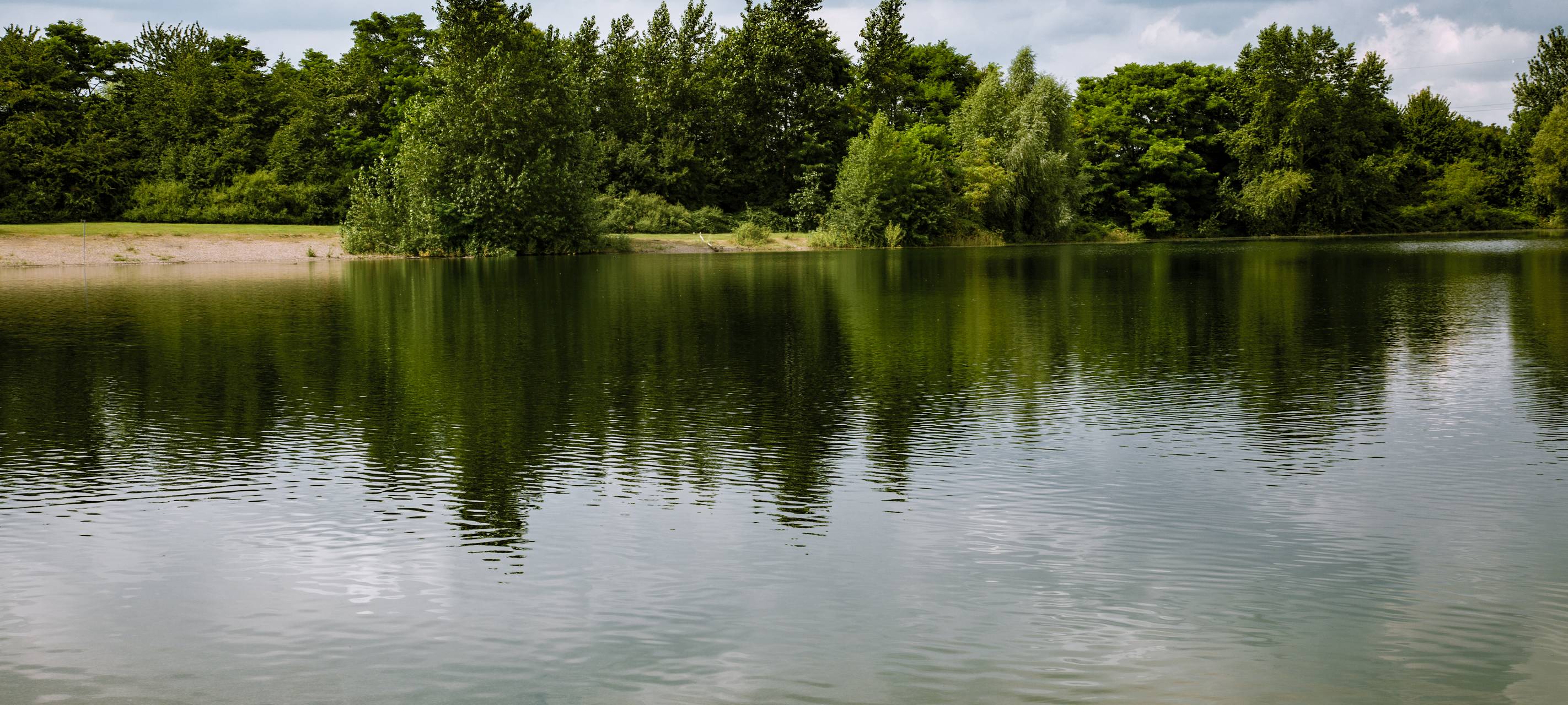 Kröten wandern langsam los
