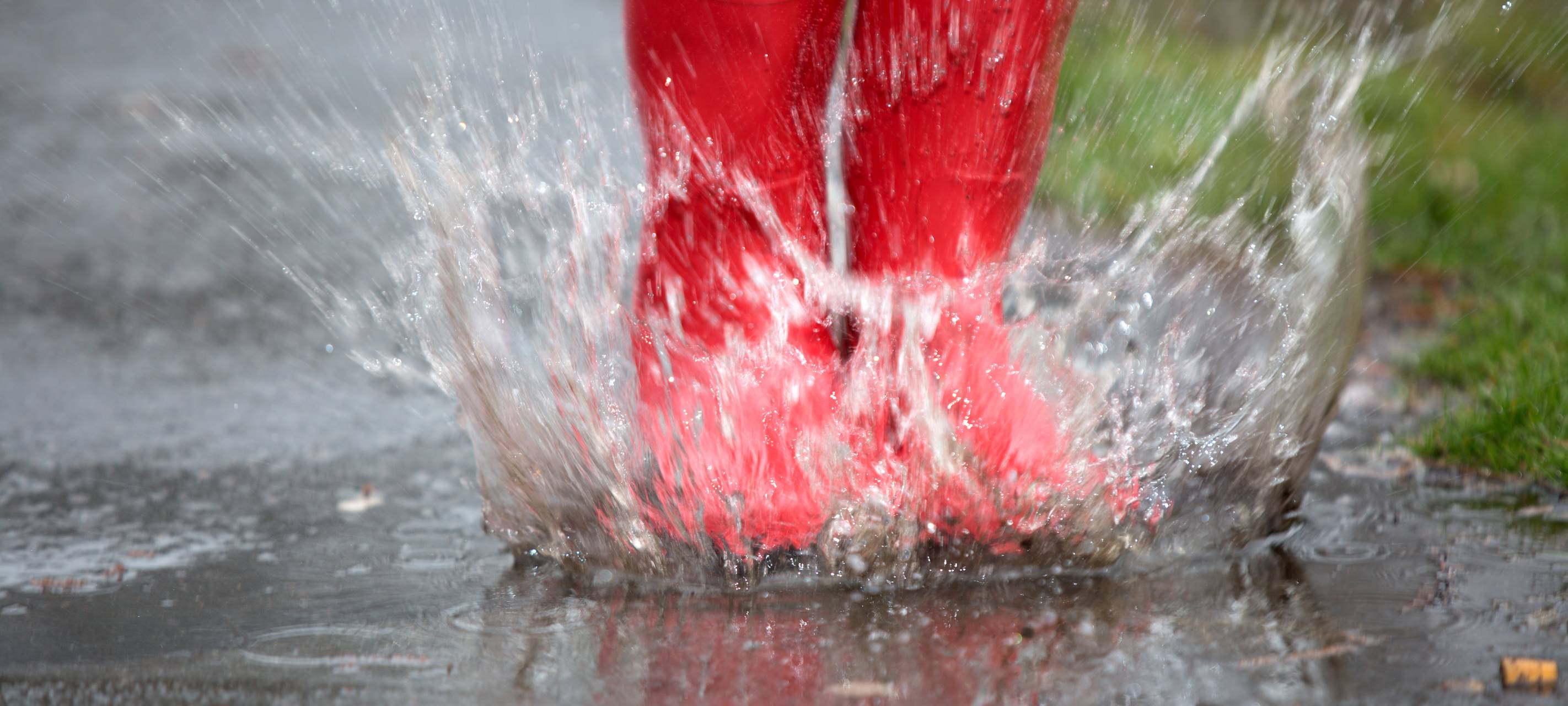 Wieder ergiebiger Regen angesagt