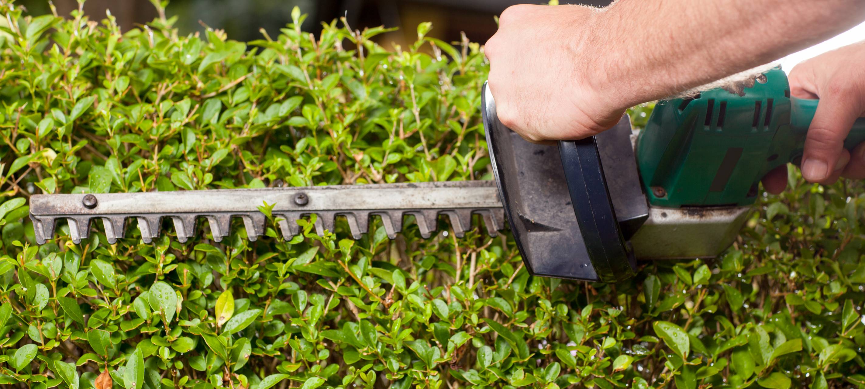 Sprockhöbel: Sammelstelle für Grünabfälle