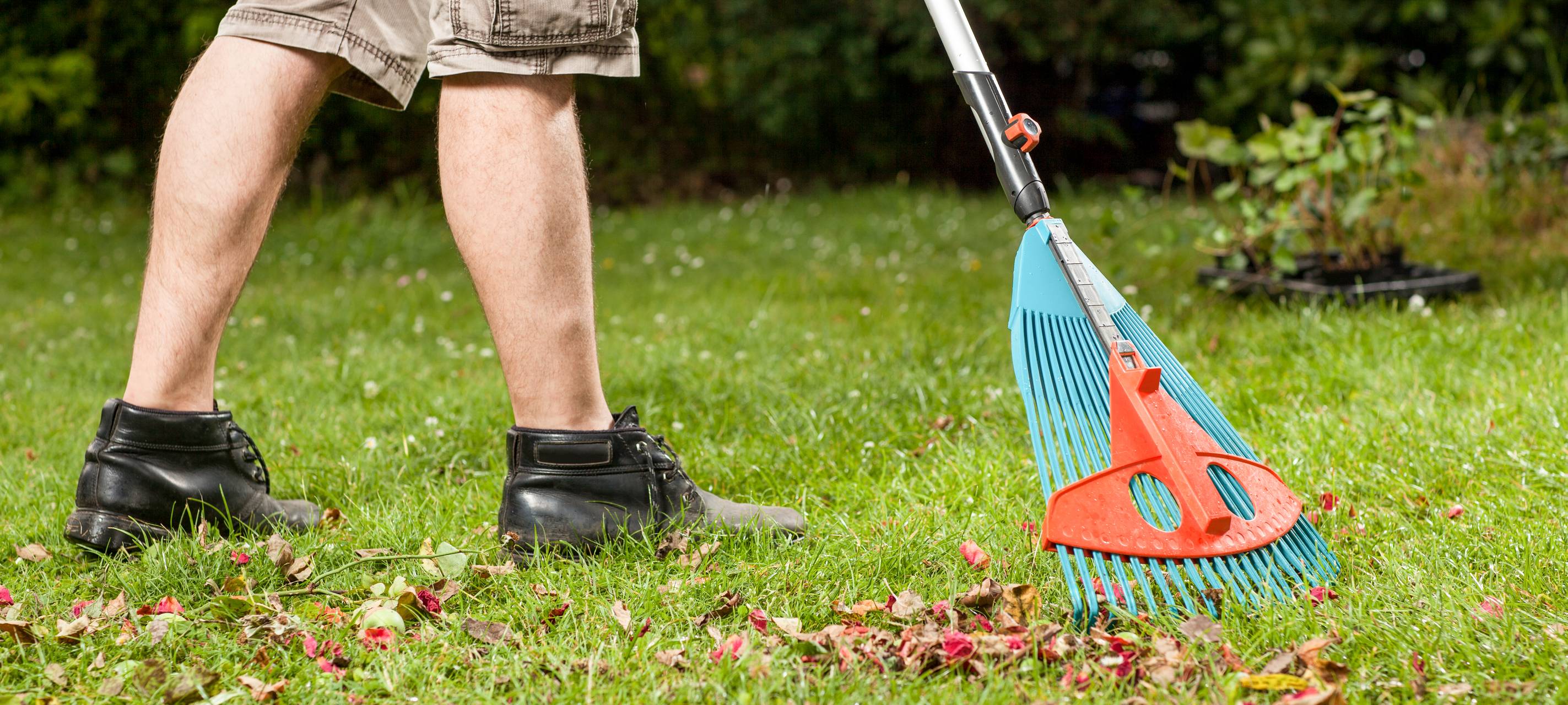 Kreis bietet wieder Laub-Service an