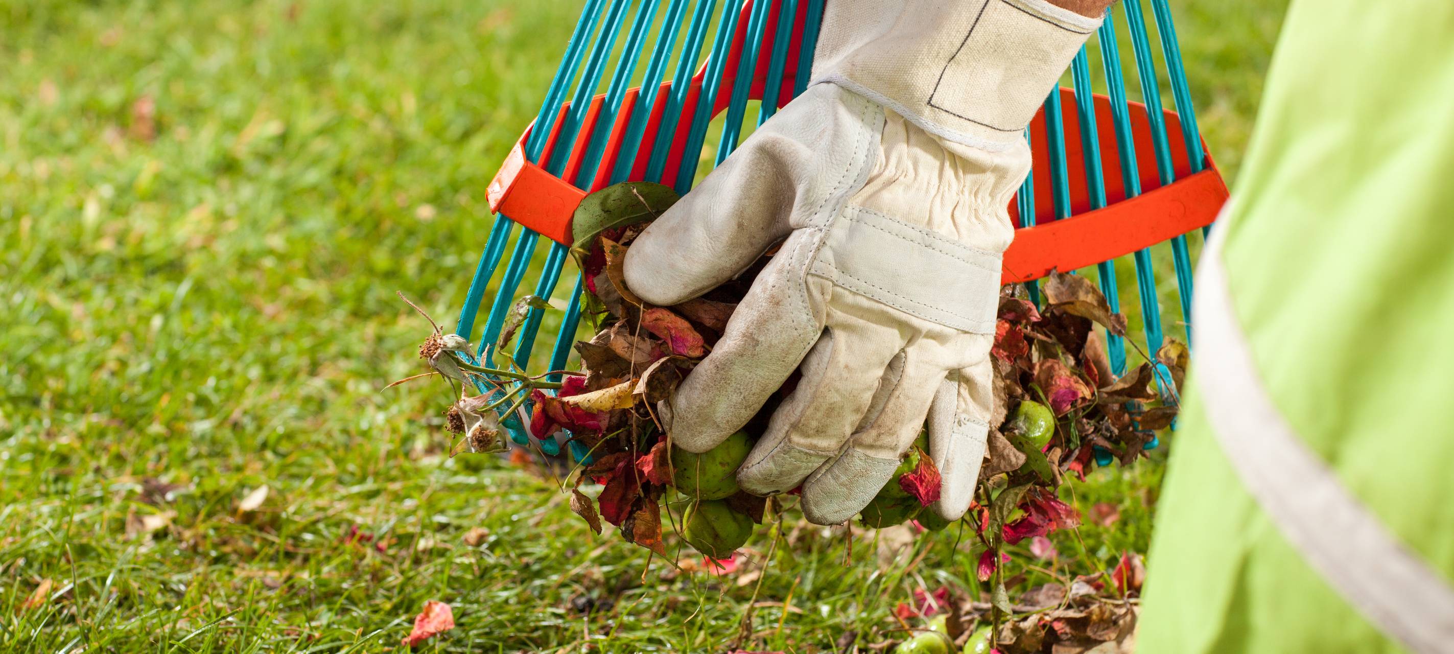 Laubabholung in Gevelsberg