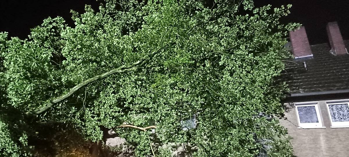 Unwetter lässt Bäume umstürzen