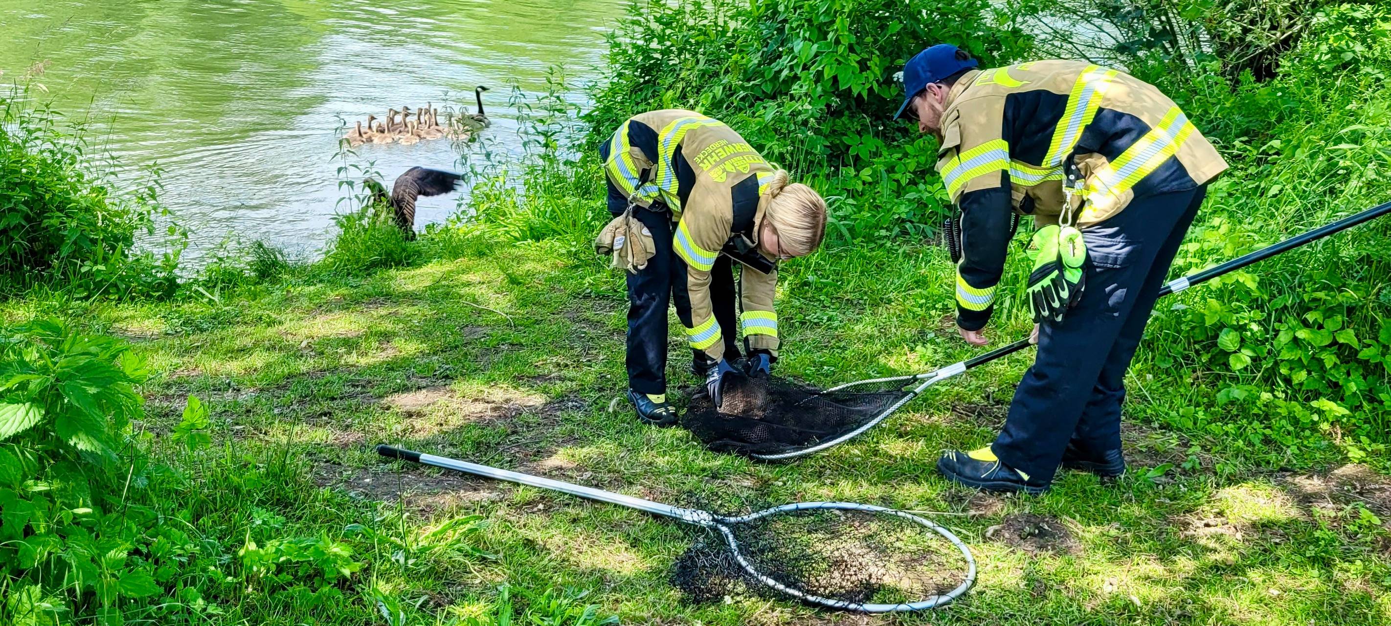 Tierische Feuerwehreinsätze in Herdecke