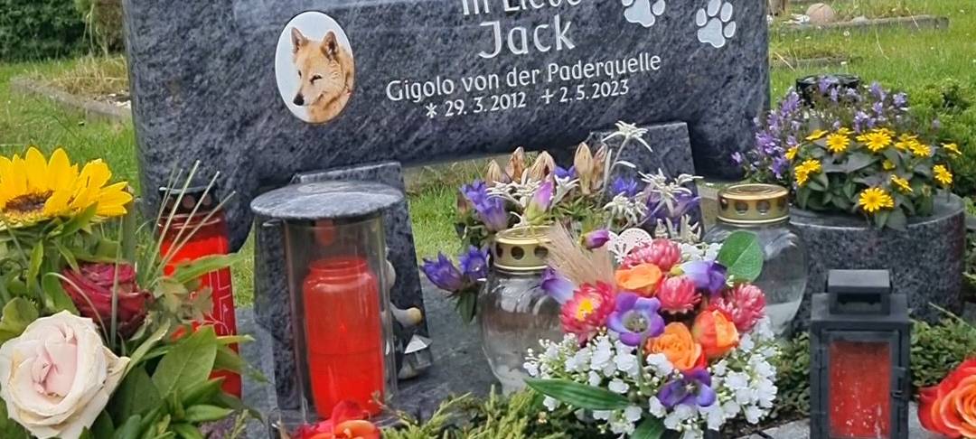 Hier finden Tiere ihre letzte Ruhe