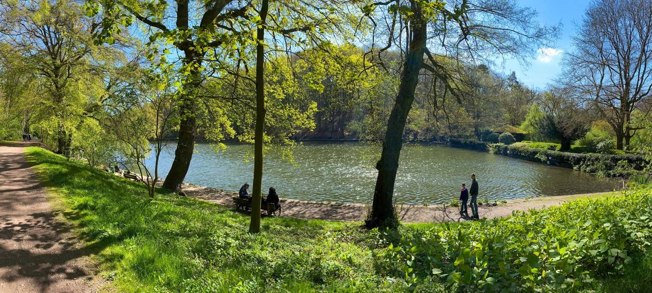 Hammerteich: Stadt arbeitet gegen Verlandung