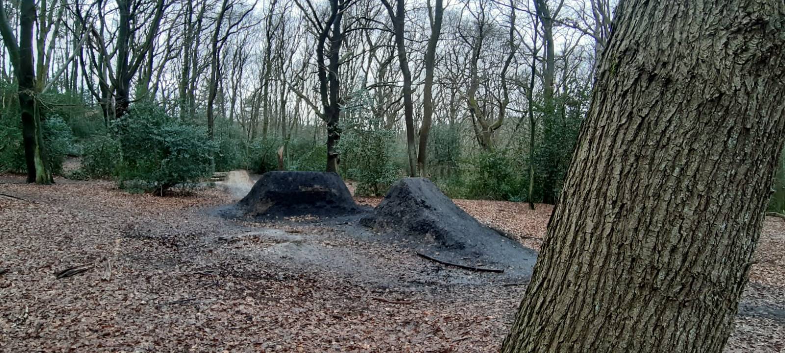 Mountainbiker in unseren Wäldern