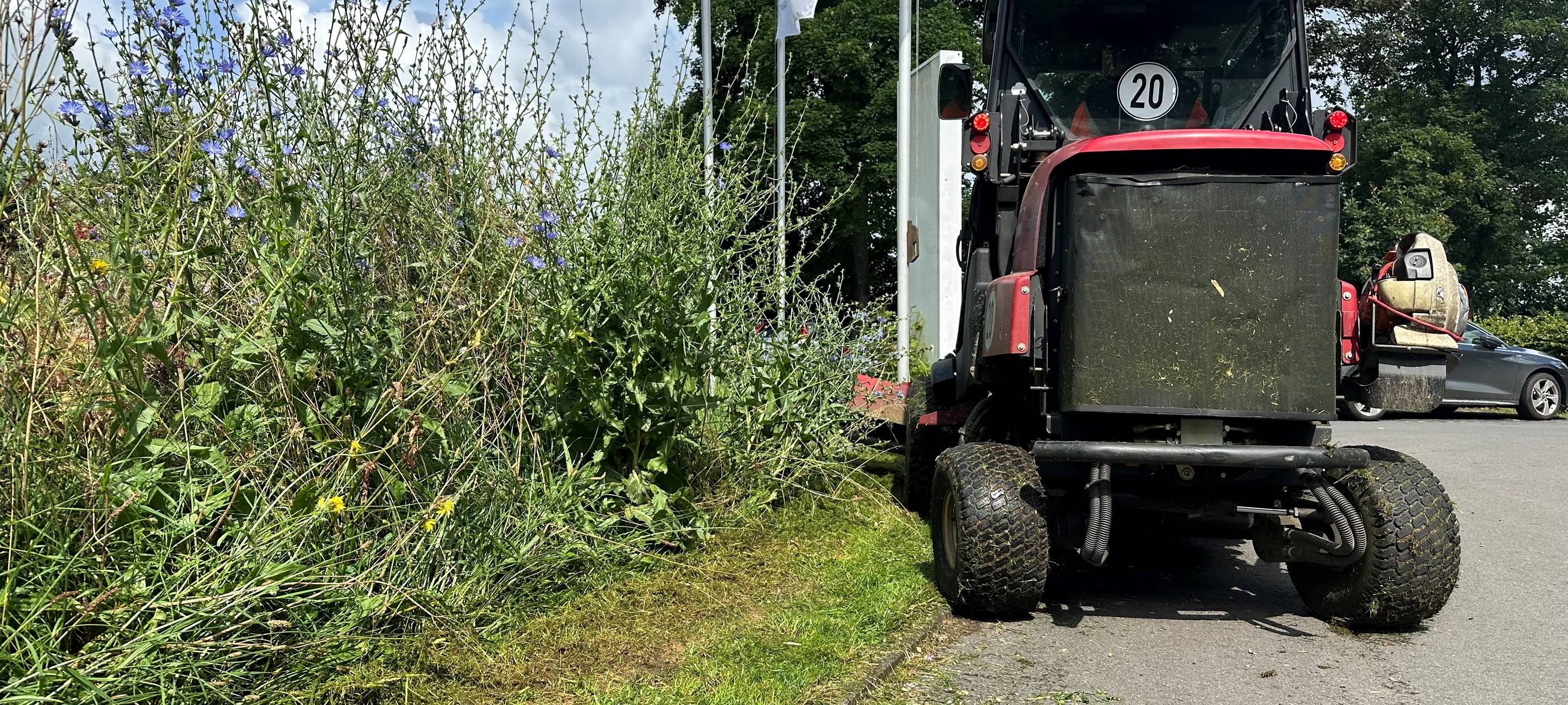 Hattingen mäht nicht mehr