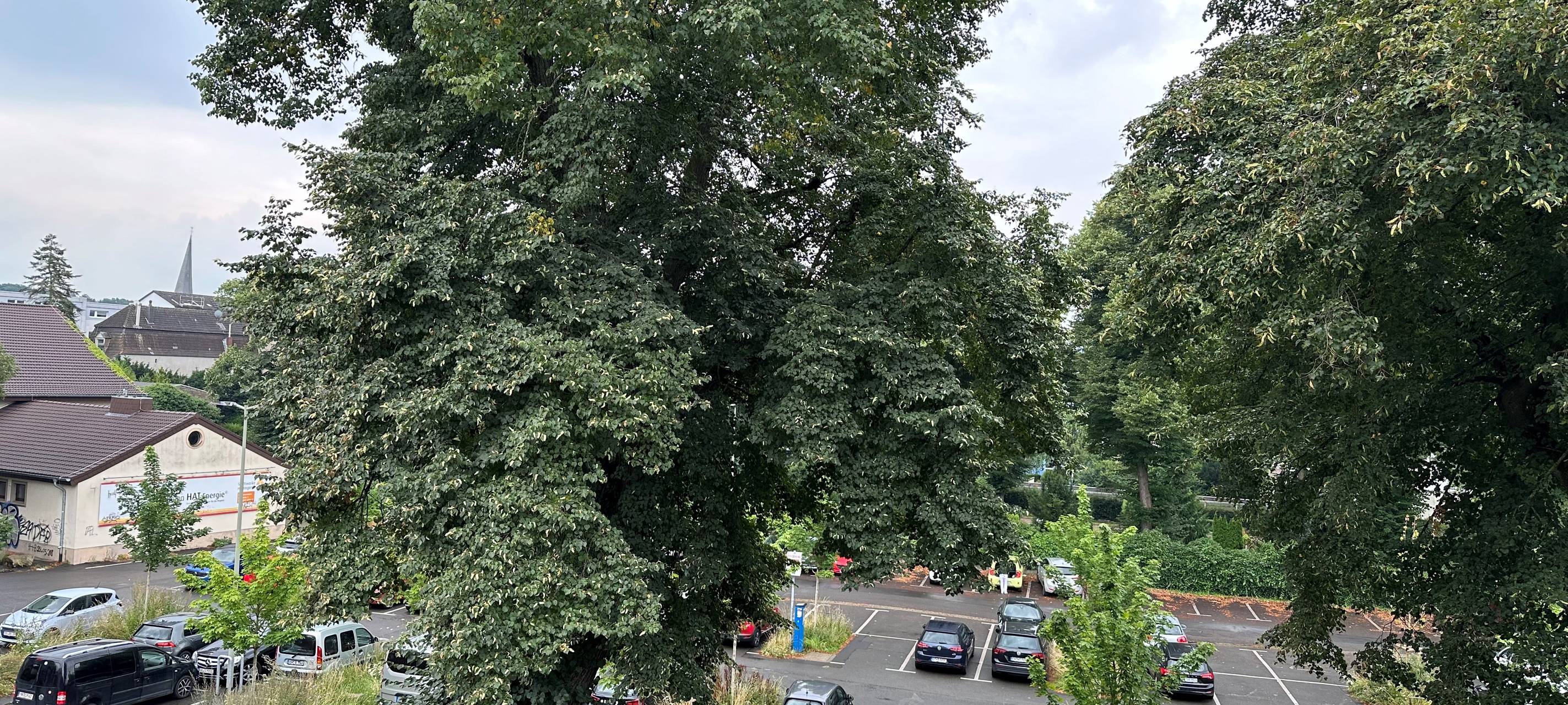 Hattingen schneidet bei Hitze-Check sehr gut ab