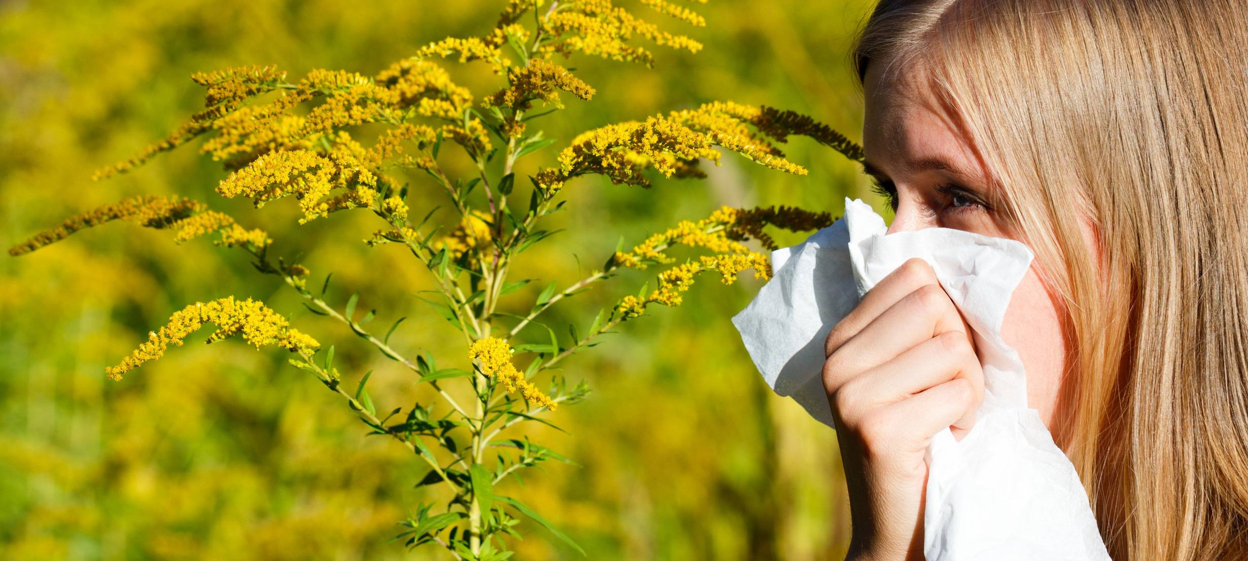 Gesundheitsgefährdende Pflanze