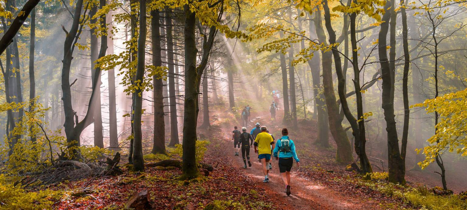 Laufen, wandern und walken bei "Rund um Ennepetal"