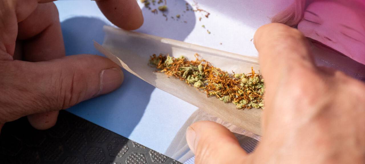 Über 250 Aussteller: Zu Besuch bei der Cannabis-Messe "Cannafair"