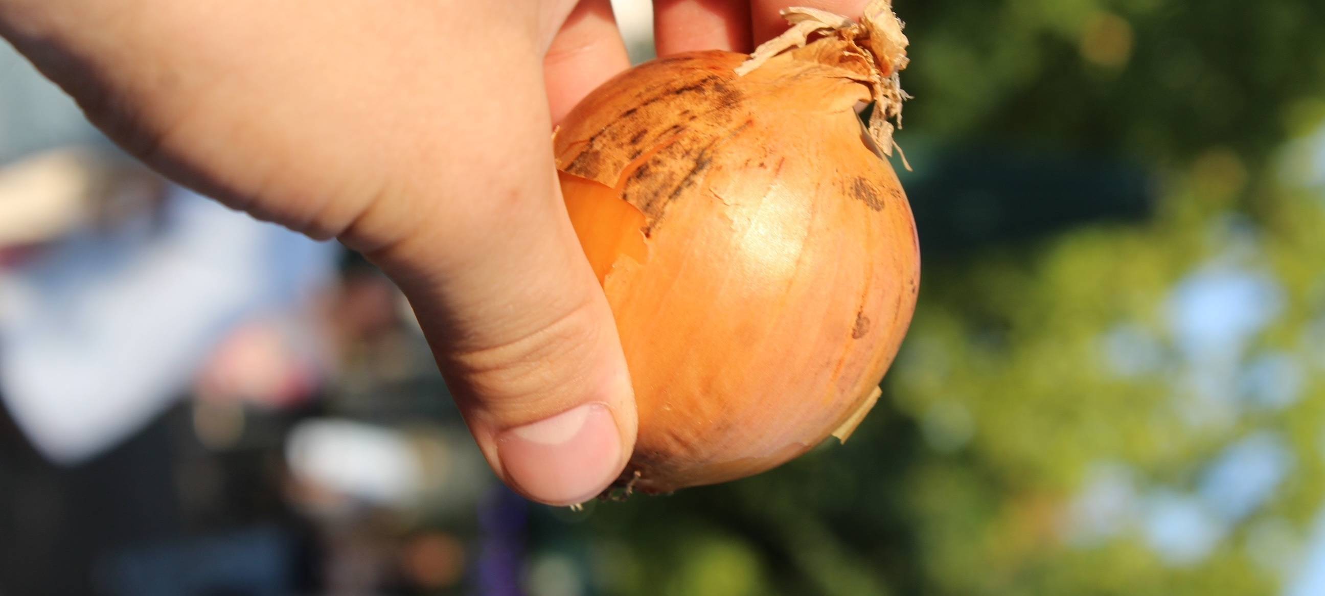 Bildergalerie von der Zwiebelkirmes in Witten