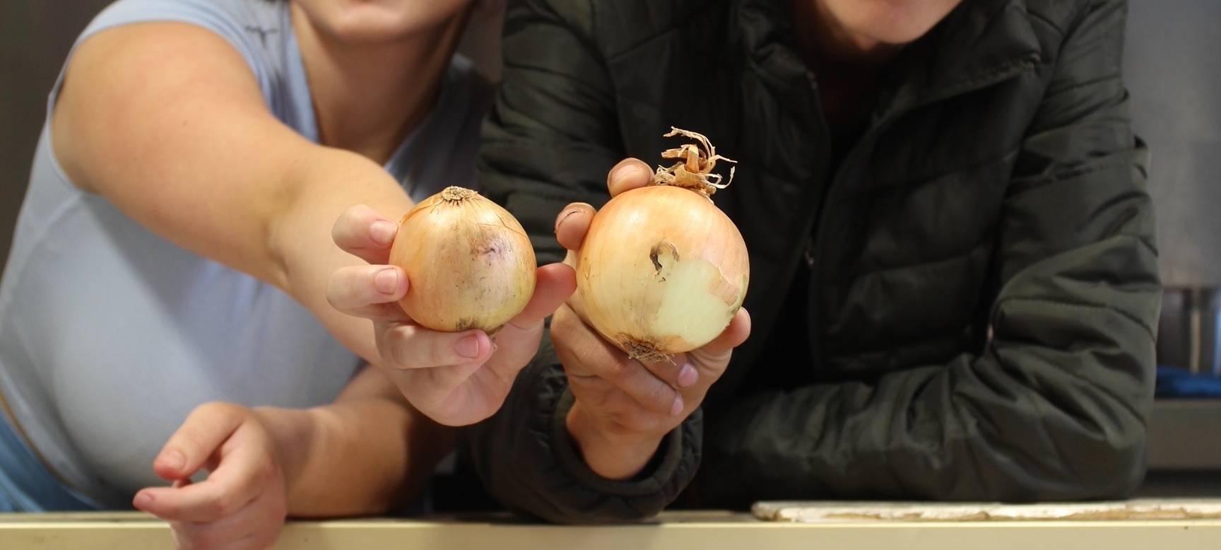 Bildergalerie von der Zwiebelkirmes in Witten