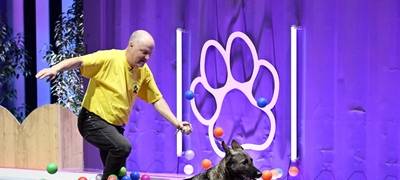 Schäferhündin Yadira aus Witten bei "Top Dog Germany"