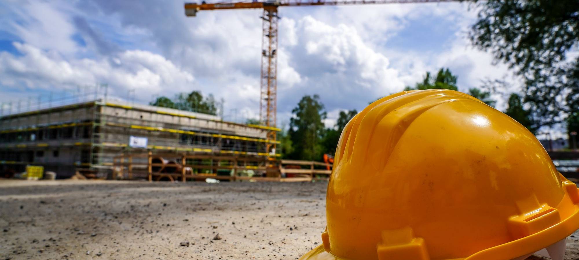 Baumfällarbeiten im Bildungsquartier Annen