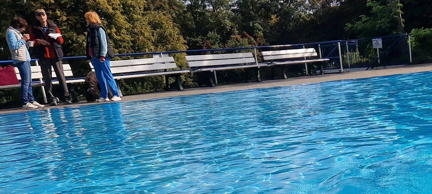 Hundeschwimmen in Hattingen