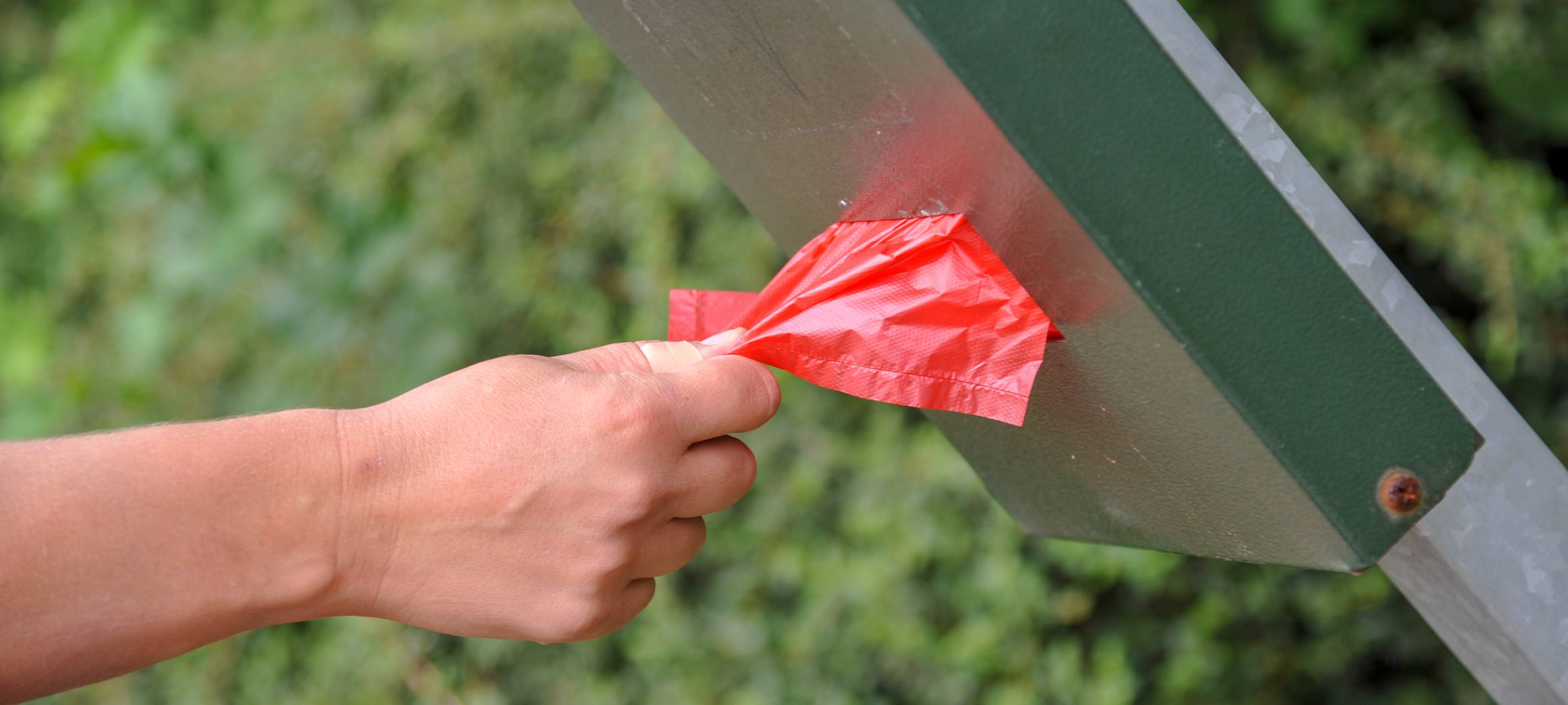 Hundekot auf Friedhof: Stadt appeliert