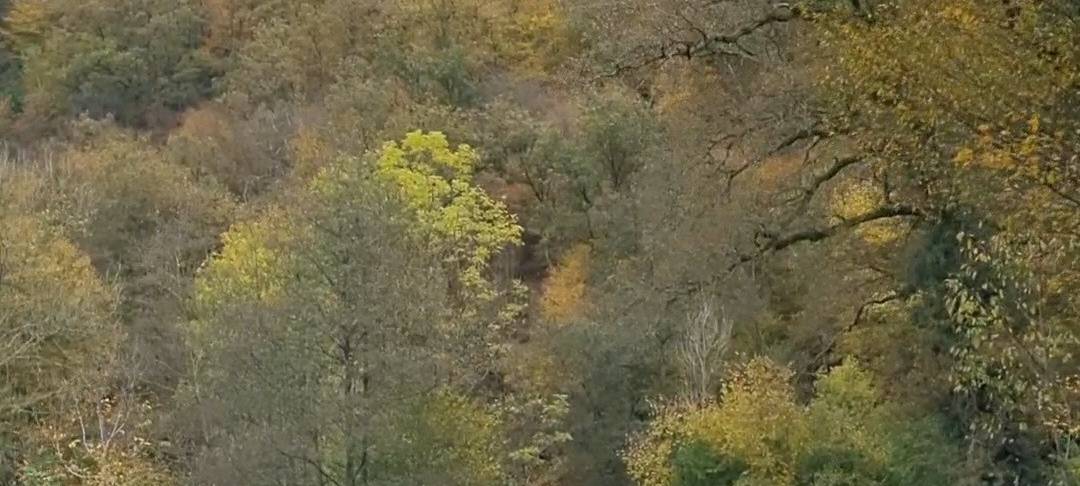 Motorradproblem auf L699 - Bürgerinitiative in der Gründung